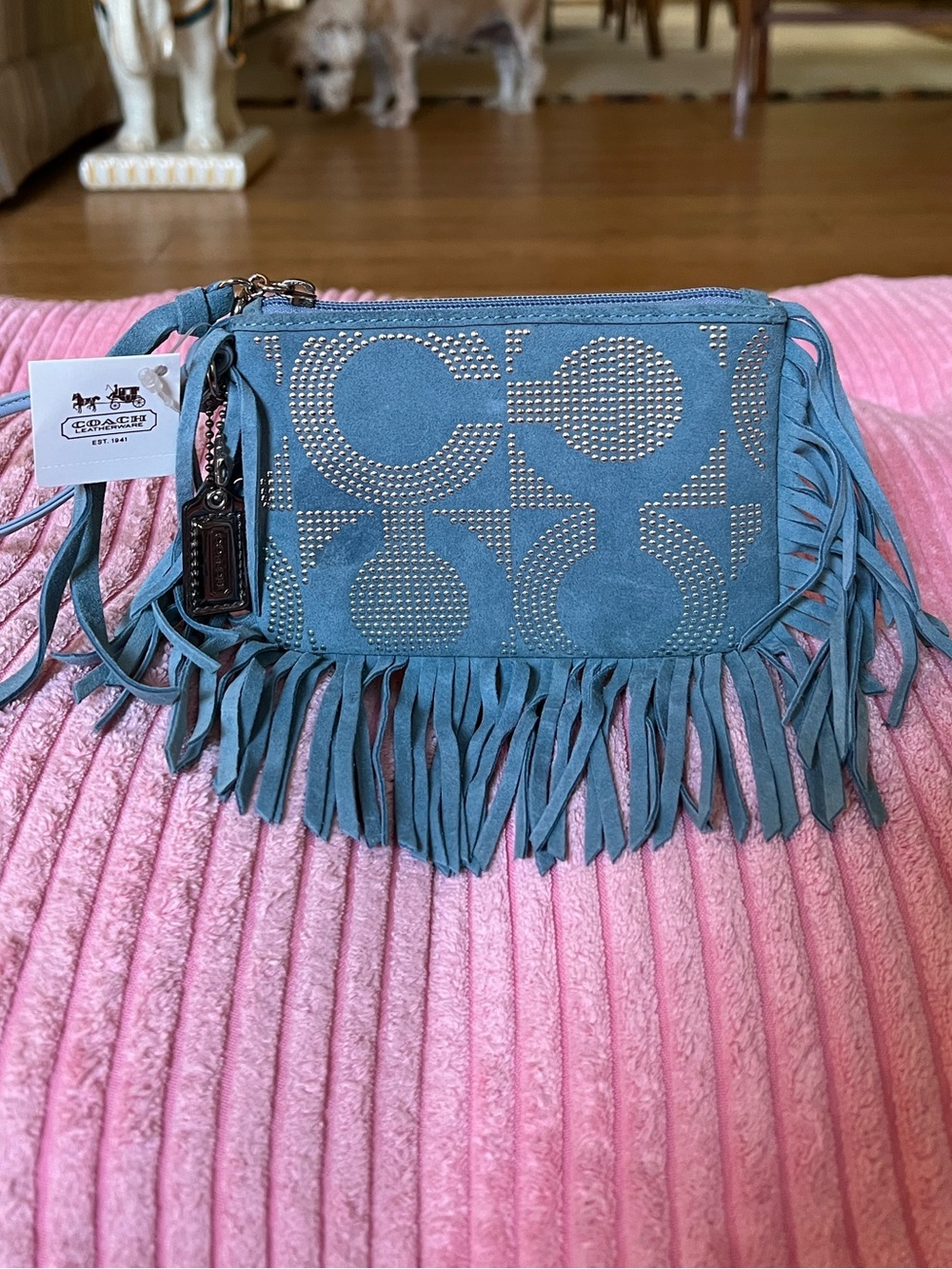 Coach Poppy “Bella” Studded Suede Fringe Wristlet - Picture 2 of 14
